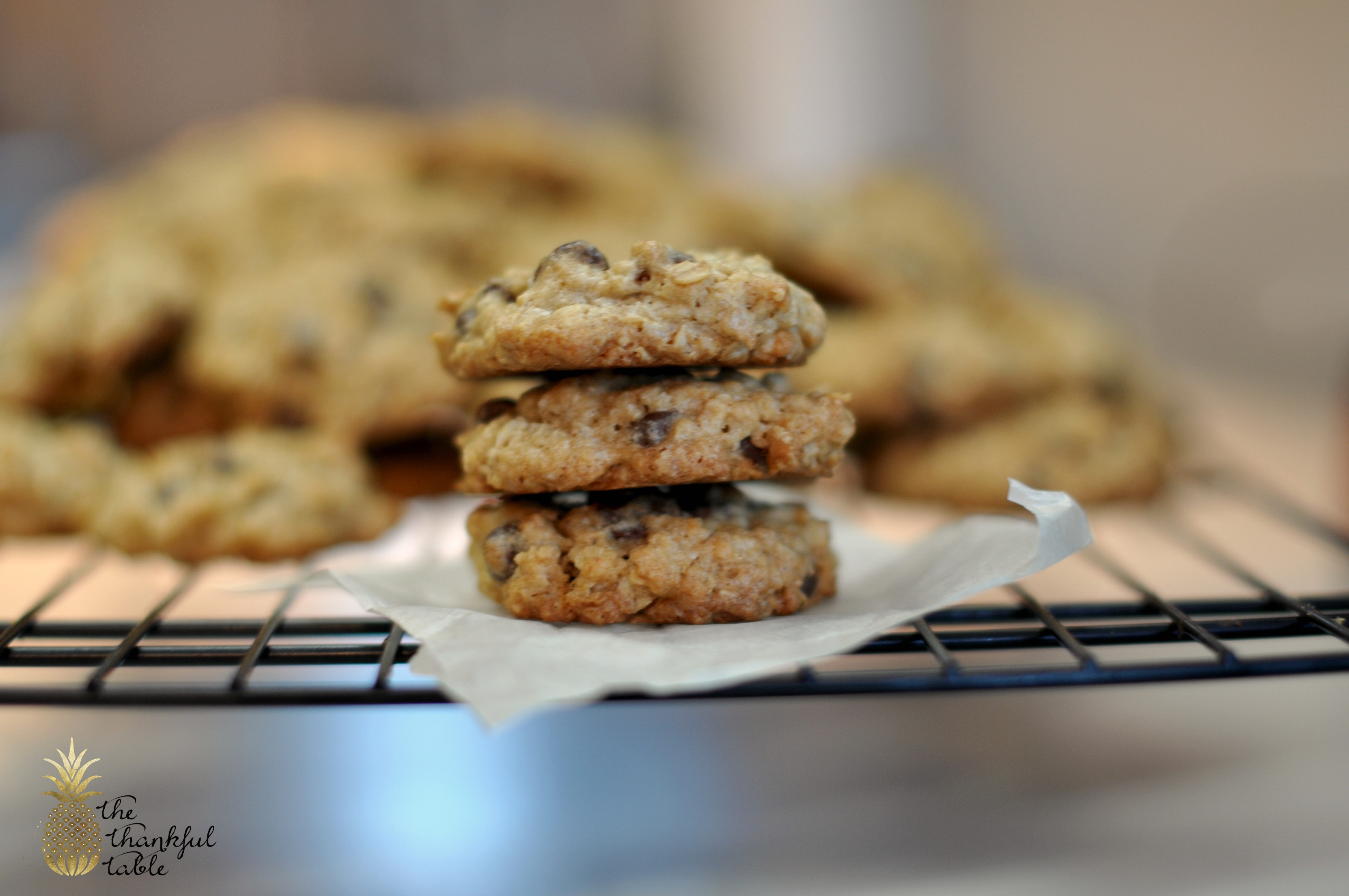 Oatmeal Chocolate Chip Cookies